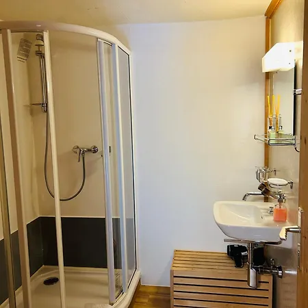 Mini-hôtel Roessli 2*